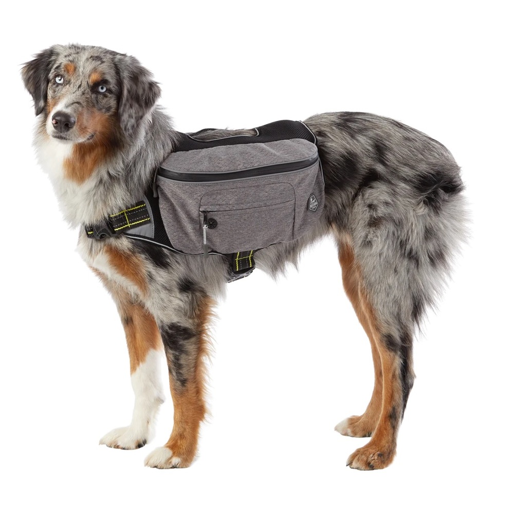 Dog backpack
